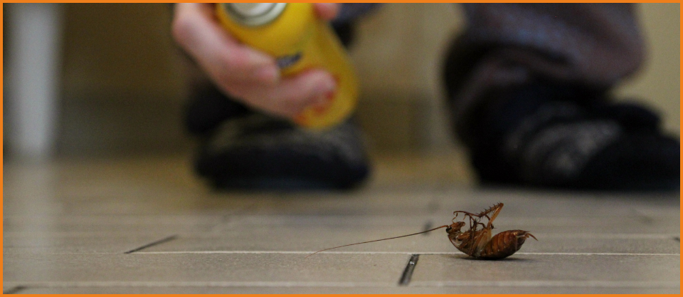 Cockroaches control