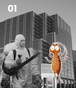 img-not-found