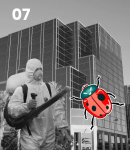 img-not-found